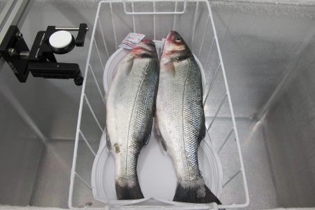使用光谱相机检测鱼类新鲜度