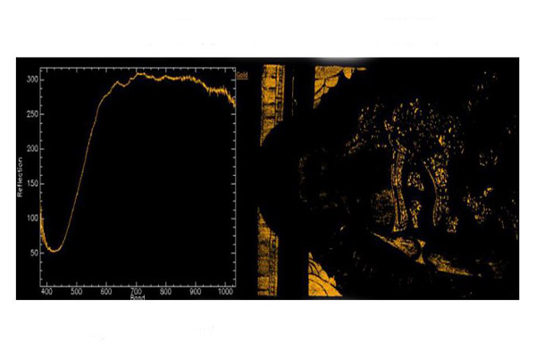 金色像素的光谱曲线图和图像空间分布
