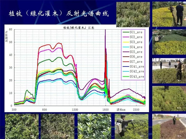 高光谱遥感技术-林业