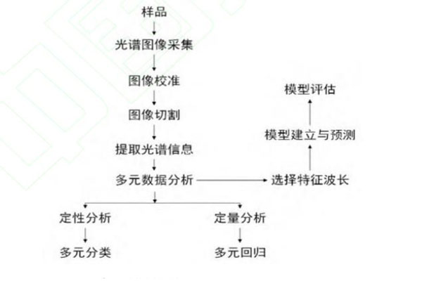 高光谱成像技术定性定量判别流程0717