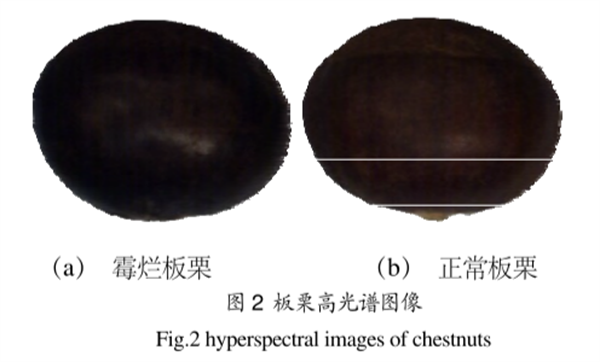 高光谱成像仪在霉烂板栗检测中的应用