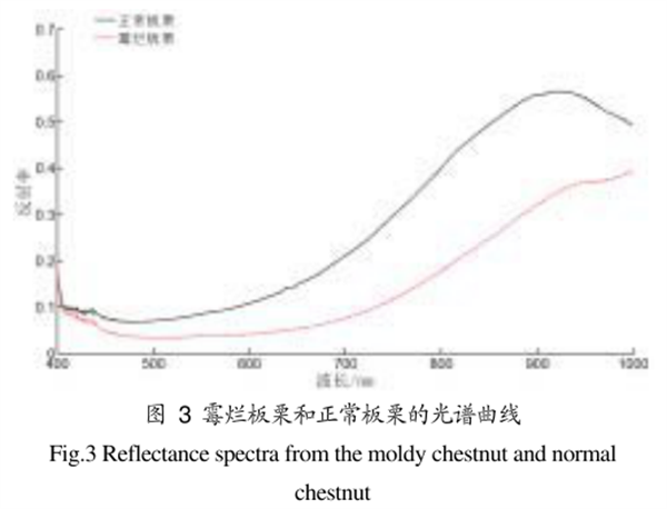 高光谱成像仪在霉烂板栗检测中的应用2