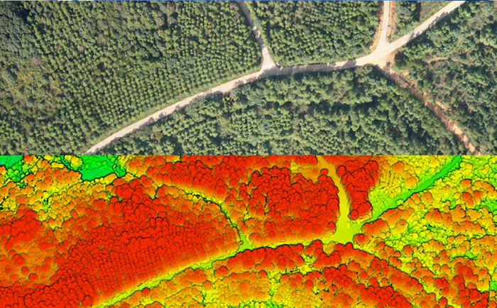 无人机高光谱遥感技术在林业调查中的应用