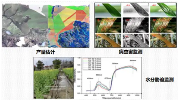 高光谱成像技术行业应用 (1)