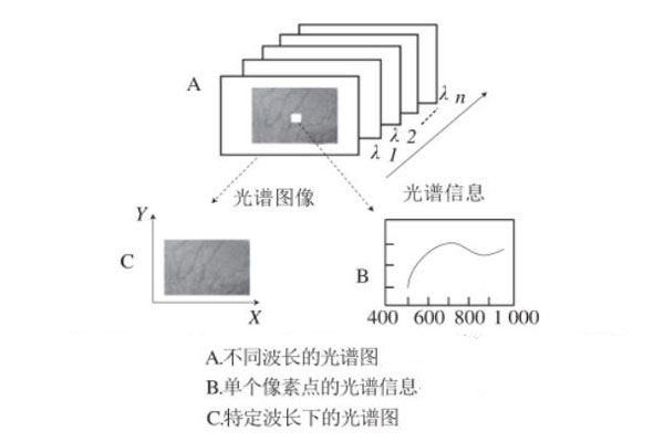 高光谱谱图01