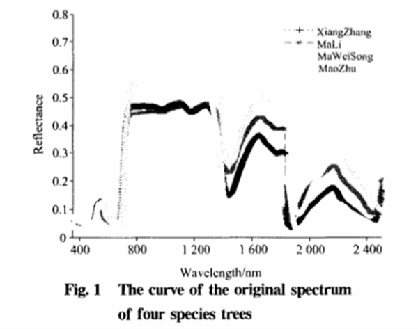 基于叶片高光谱特性分析的树种识别方法