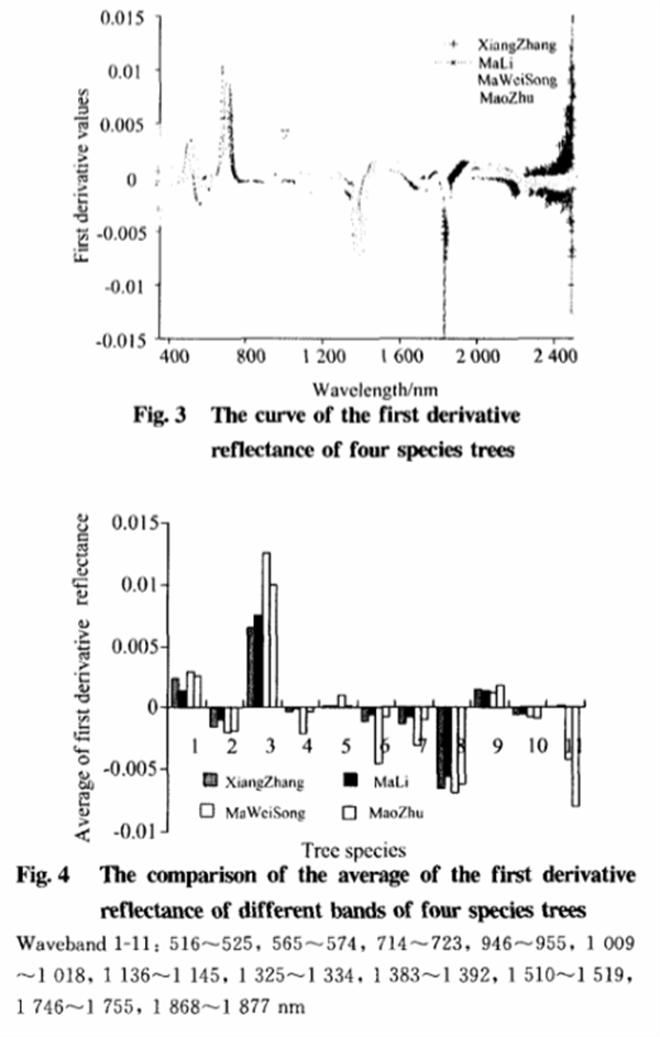基于叶片高光谱特性分析的树种识别方法3