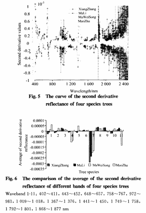 基于叶片高光谱特性分析的树种识别方法5