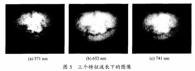 高光谱成像技术检测柑橘果锈5