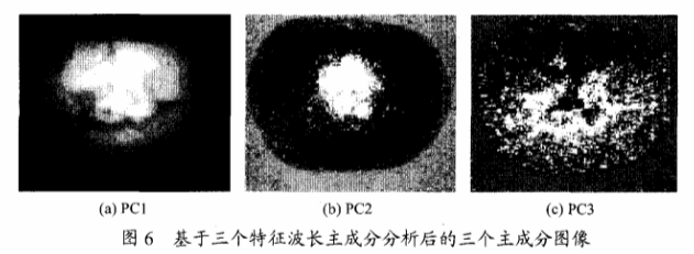 高光谱成像技术检测柑橘果锈6