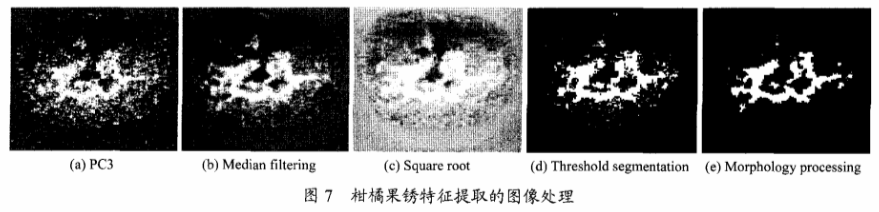 高光谱成像技术检测柑橘果锈7