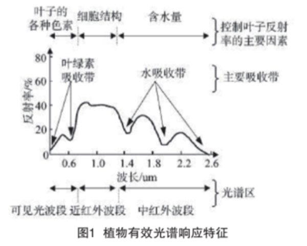 高光谱与多光谱数据融合在植被水域分类与生态保护中的应用