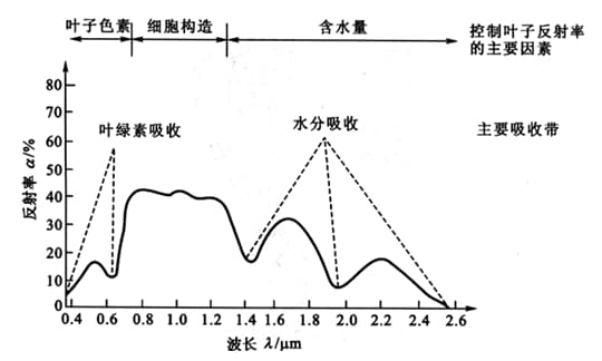 植被的光谱特性