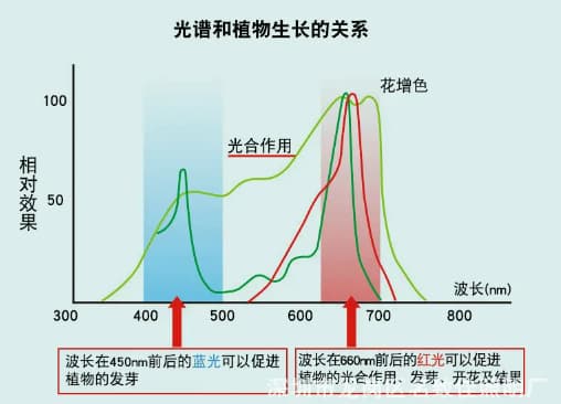 植被的光谱特性2