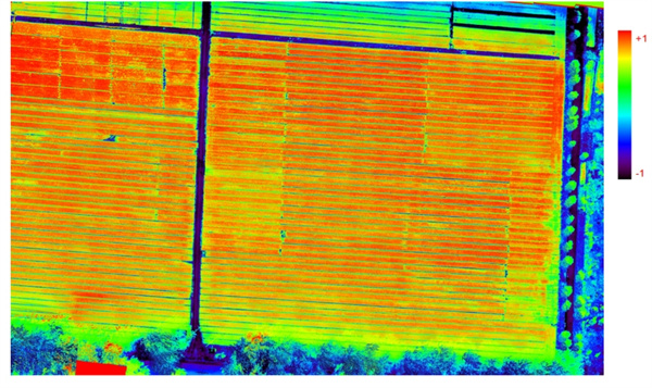 深耕农业气象观测现代化技术——高光谱技术为农作物“做健康体检”